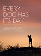 Sundowner Magazine - Botswana: Every dog has its day - Spring 2019