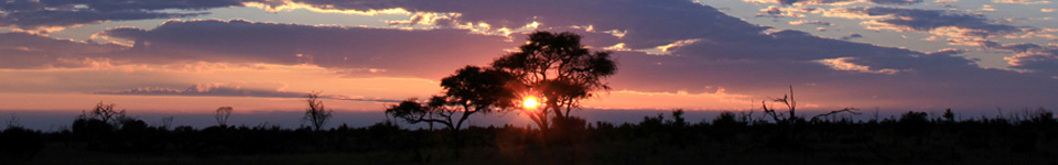 Sunset in the Hwange National Park, Zimbabwe